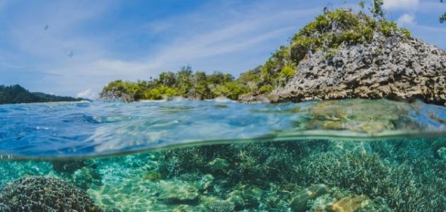 المحافظة على المحيط صورة مقال المحافظة على المحيط