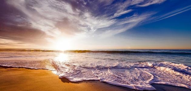 حلم البحر صورة مقال حلم البحر