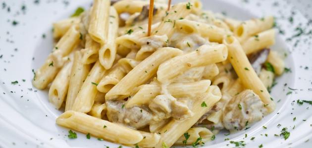 تحضير البشاميل صورة مقال تحضير البشاميل