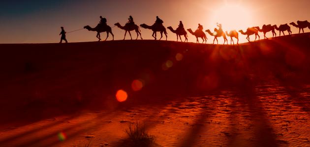 صفات أبي جهل صورة مقال صفات أبي جهل