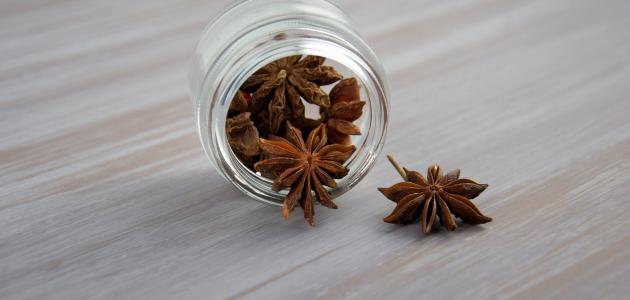 أضرار اليانسون للنساء صورة مقال أضرار اليانسون للنساء