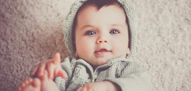 أطعمة صحية للأطفال صورة مقال أطعمة صحية للأطفال