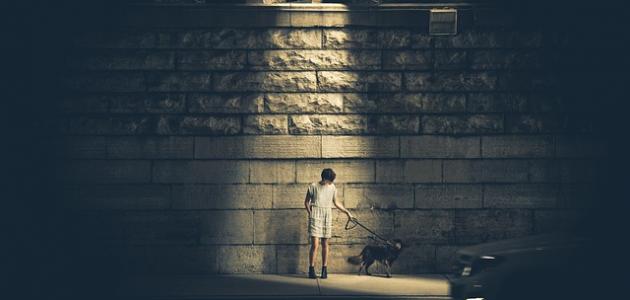 أهم قصائد محمود درويش صورة مقال أهم قصائد محمود درويش