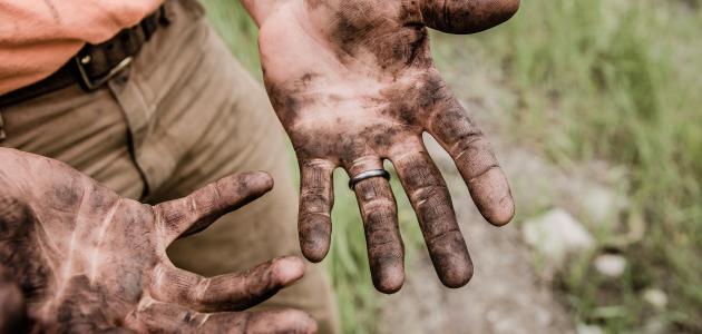 حكمة عن العمل والجد صورة مقال حكمة عن العمل والجد
