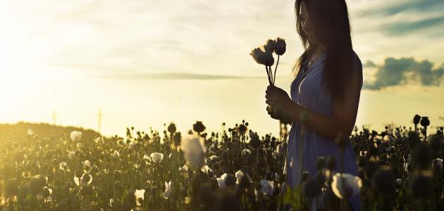 كلمات عن الإخلاص صورة مقال كلمات عن الإخلاص