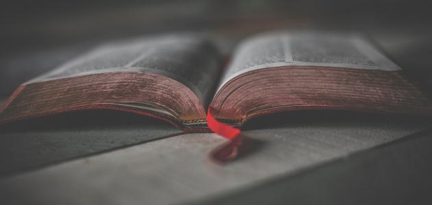 أقوال عن الحكمة صورة مقال أقوال عن الحكمة