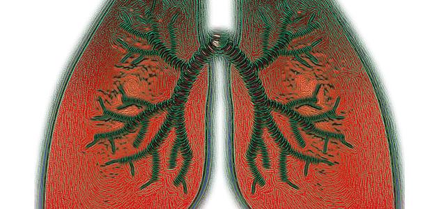 التهاب القصبات المزمن صورة مقال التهاب القصبات المزمن