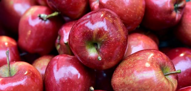 أطعمة خالية من الكوليسترول صورة مقال أطعمة خالية من الكوليسترول