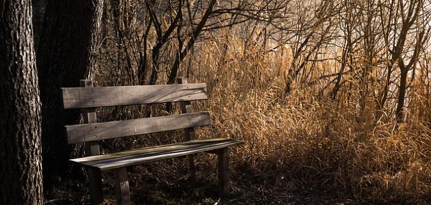 أجمل ما قيل في الخريف صورة مقال أجمل ما قيل في الخريف