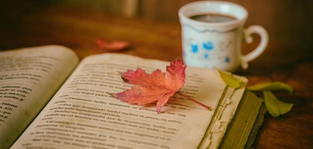 أقوال عن حال الدنيا صورة مقال أقوال عن حال الدنيا