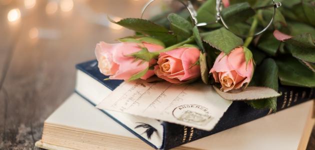 أجمل أبيات الغزل الفصيح صورة مقال أجمل أبيات الغزل الفصيح