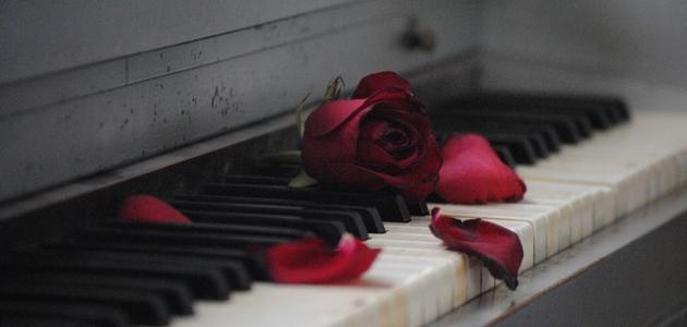 أشعار حب تعبر عن أحلى كلام صورة مقال أشعار حب تعبر عن أحلى كلام