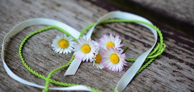 كلام عن الثقه بالحب صورة مقال كلام عن الثقه بالحب