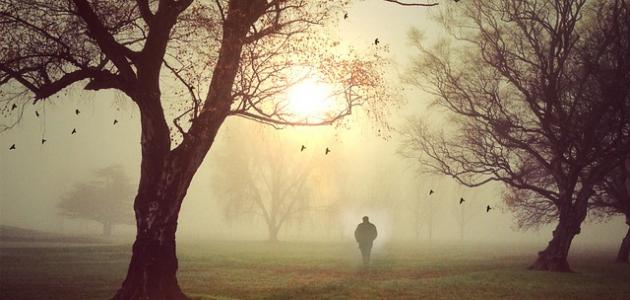 أشعار غياب وشوق صورة مقال أشعار غياب وشوق