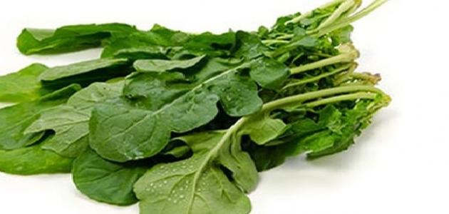 ماسك الجرجير للوجه صورة مقال ماسك الجرجير للوجه