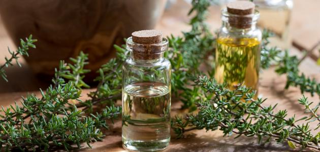 أعشاب للكحة الناشفة صورة مقال أعشاب للكحة الناشفة