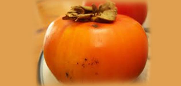 فوائد الكاكا للبشرة صورة مقال فوائد الكاكا للبشرة