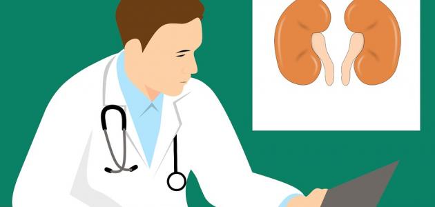 التهاب حوض الكلى صورة مقال التهاب حوض الكلى