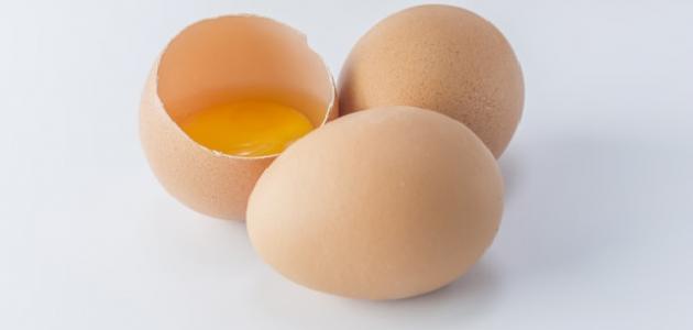 ماسك صفار البيض للبشرة الجافة صورة مقال ماسك صفار البيض للبشرة الجافة