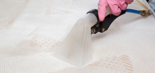 التخلص من البراغيث في الفراش صورة مقال التخلص من البراغيث في الفراش