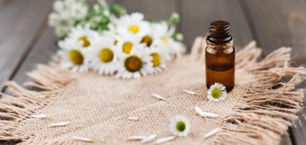 كم مرة يوضع الزيت على الشعر في الأسبوع صورة مقال كم مرة يوضع الزيت على الشعر في الأسبوع