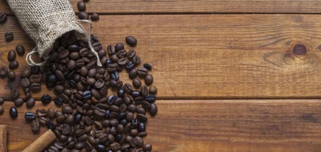 كيفية القضاء على الصراصير بدون مبيدات صورة مقال كيفية القضاء على الصراصير بدون مبيدات