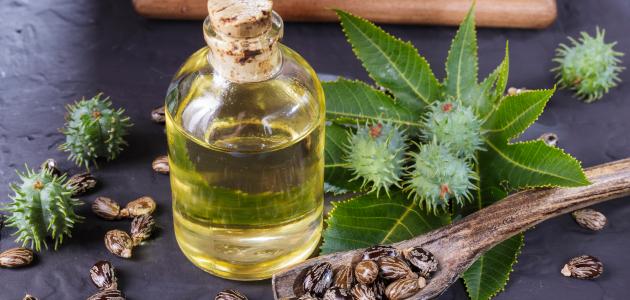 كم ساعة يوضع زيت الخروع على الشعر صورة مقال كم ساعة يوضع زيت الخروع على الشعر