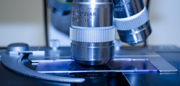 الفرق بين تحليل البراز ومزرعة البراز صورة مقال الفرق بين تحليل البراز ومزرعة البراز