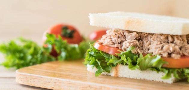 طريقة تحضير بانيني بالتونة صورة مقال طريقة تحضير بانيني بالتونة