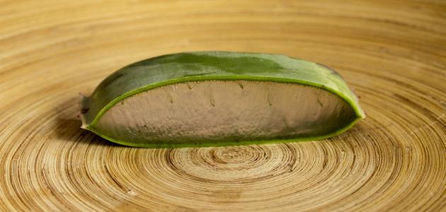 كيف أزيل تاتو الحواجب الدائم في المنزل صورة مقال كيف أزيل تاتو الحواجب الدائم في المنزل