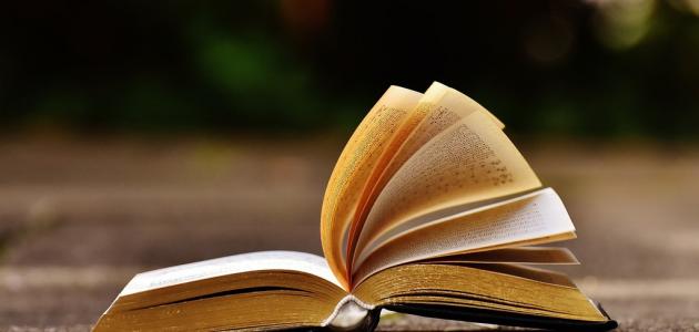 أجمل قصائد الحب في الشعر الجاهلي صورة مقال أجمل قصائد الحب في الشعر الجاهلي