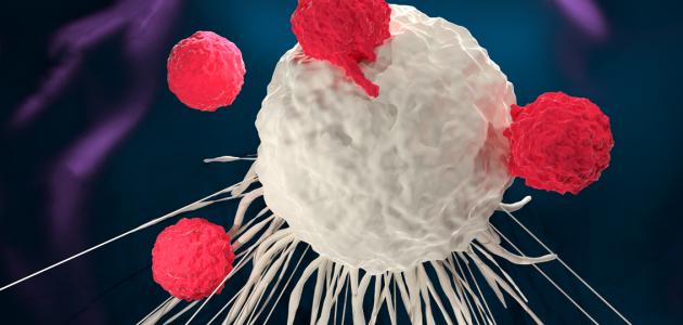 الورم الخبيث صورة مقال الورم الخبيث