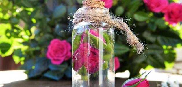 استخدام ماء الزهر للوجه صورة مقال استخدام ماء الزهر للوجه