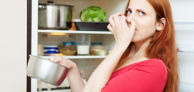 سبب رائحة الثلاجة صورة مقال سبب رائحة الثلاجة