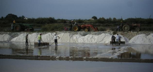 من أين يستخرج الملح صورة مقال من أين يستخرج الملح