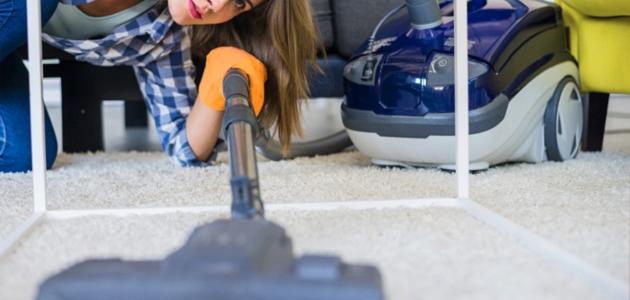 هل يموت البق بالغسيل صورة مقال هل يموت البق بالغسيل