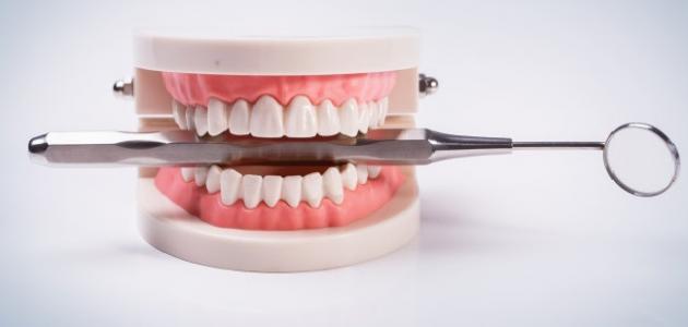 كيفية تقوية اللثة صورة مقال كيفية تقوية اللثة