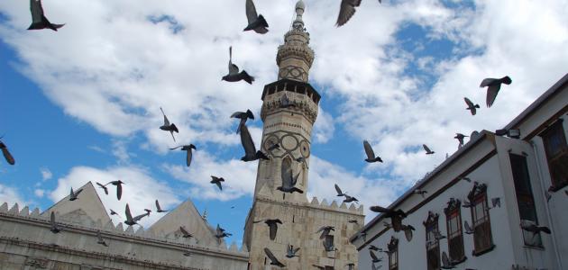 ما هي أذكار يوم الجمعة صورة مقال ما هي أذكار يوم الجمعة