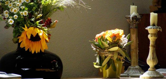 حكم وعبارات جميلة صورة مقال حكم وعبارات جميلة