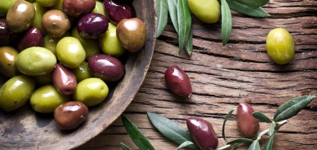 عمل مخلل الزيتون صورة مقال عمل مخلل الزيتون