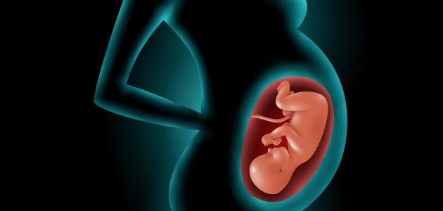 أضرار زيادة وزن الجنين صورة مقال أضرار زيادة وزن الجنين