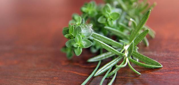 أعشاب تحتوي على هرمون الإستروجين صورة مقال أعشاب تحتوي على هرمون الإستروجين