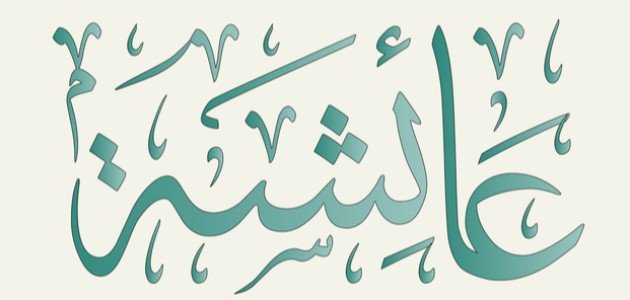 سيرة عائشة رضي الله عنها صورة مقال سيرة عائشة رضي الله عنها