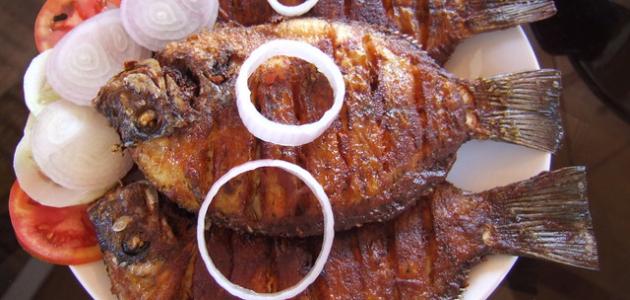 أكلات عراقية سهلة وسريعة صورة مقال أكلات عراقية سهلة وسريعة