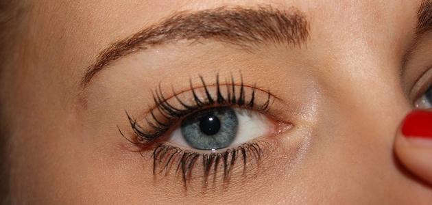 طريقة تكثيف الرموش وتطويلها طبيعياً صورة مقال طريقة تكثيف الرموش وتطويلها طبيعياً