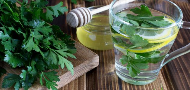 أضرار شرب مغلي البقدونس على الريق صورة مقال أضرار شرب مغلي البقدونس على الريق