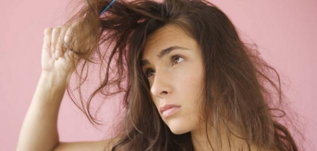 ترطيب الشعر الجاف صورة مقال ترطيب الشعر الجاف
