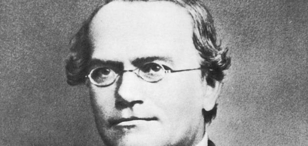 من مؤسس علم الوراثة صورة مقال من مؤسس علم الوراثة