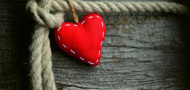 ما قيل عن القلب صورة مقال ما قيل عن القلب