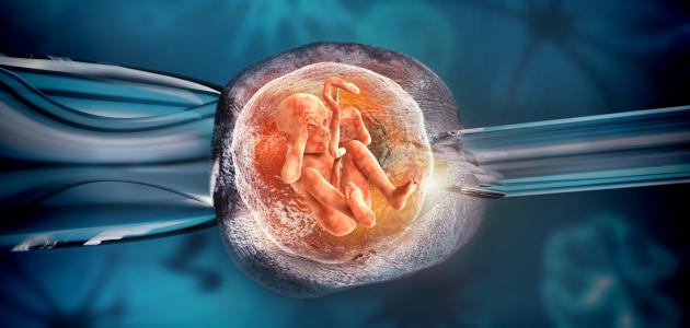 الحمل عن طريق الزراعة صورة مقال الحمل عن طريق الزراعة